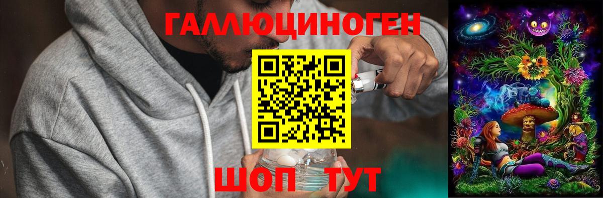 Псилоцибиновые грибы мицелий Елизово
