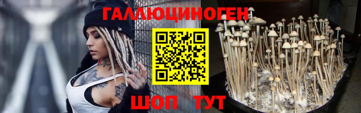 А ПВП Елизово