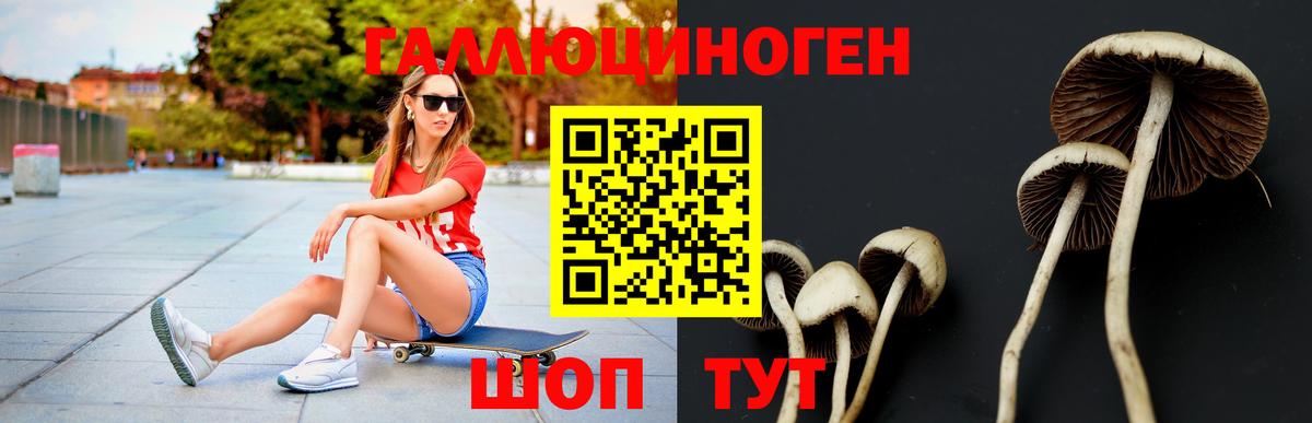 Елизово  Псилоцибиновые грибы MAGIC MUSHROOMS  Вход с VPN 